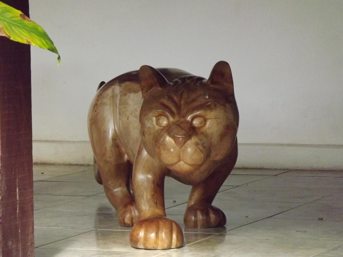 סקווארמה Pousada Catavento מראה חיצוני תמונה